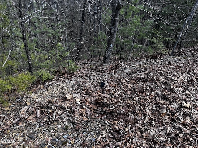 LOT43E Harvest Moon Rd, Sevierville, TN 37862