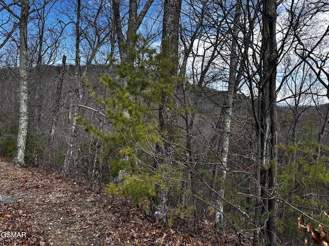 LOT43E Harvest Moon Rd, Sevierville, TN 37862