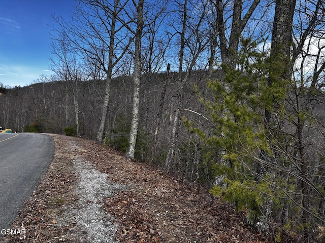 LOT43E Harvest Moon Rd, Sevierville, TN 37862