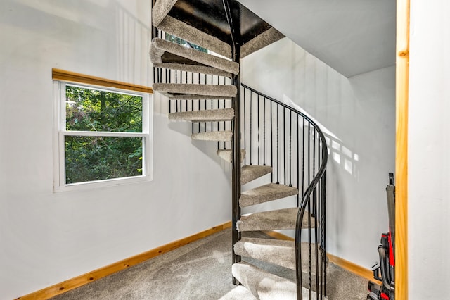 staircase with carpet