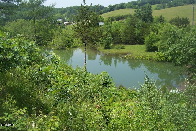LOT79 Blue Herring Way, Sevierville, TN 37876