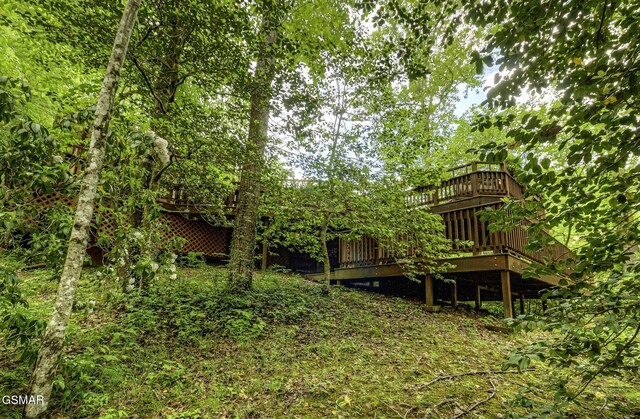315 Robin Ln, Gatlinburg, TN 37738 - photo 59