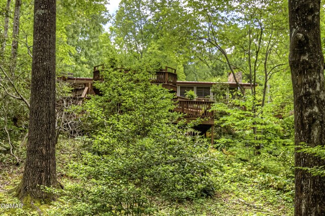 315 Robin Ln, Gatlinburg, TN 37738 - photo 58