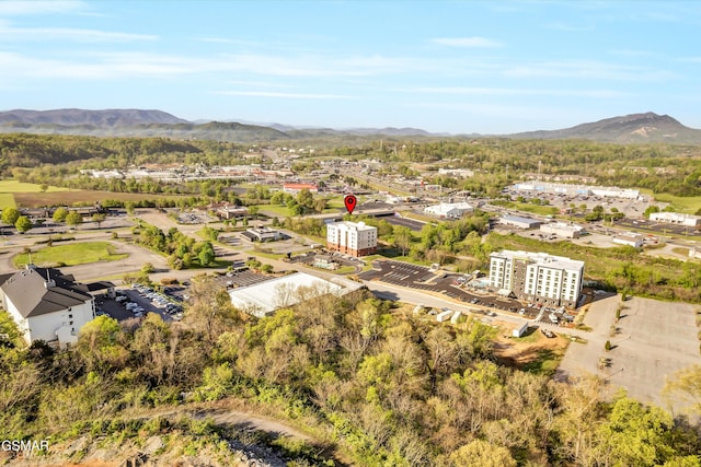 1410 Hurley Dr Unit 502, Sevierville, TN 37862
