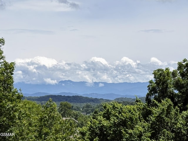 1110 Hide Away Ln, Kodak, TN 37764 - view of mountain background featuring a heavily wooded area
