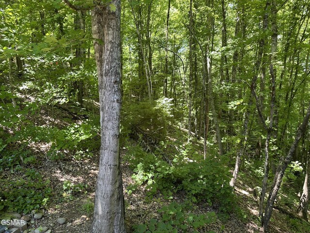 LOT3 Oak Haven Way, Sevierville, TN 37876 - photo 6
