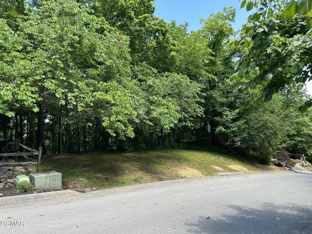 LOT3 Oak Haven Way, Sevierville, TN 37876 - photo 1