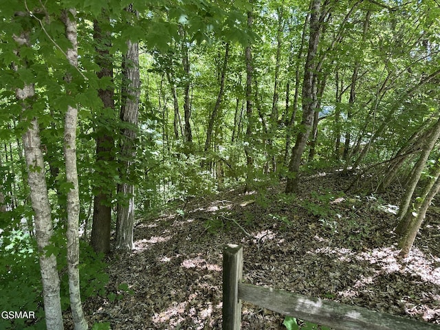 LOT3 Oak Haven Way, Sevierville, TN 37876 - photo 2