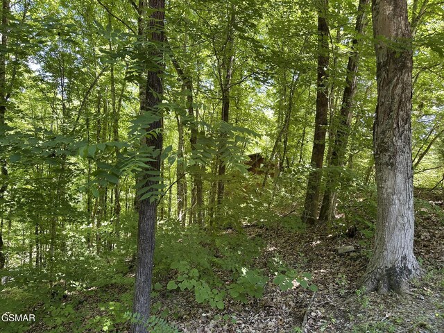 LOT3 Oak Haven Way, Sevierville, TN 37876 - photo 3