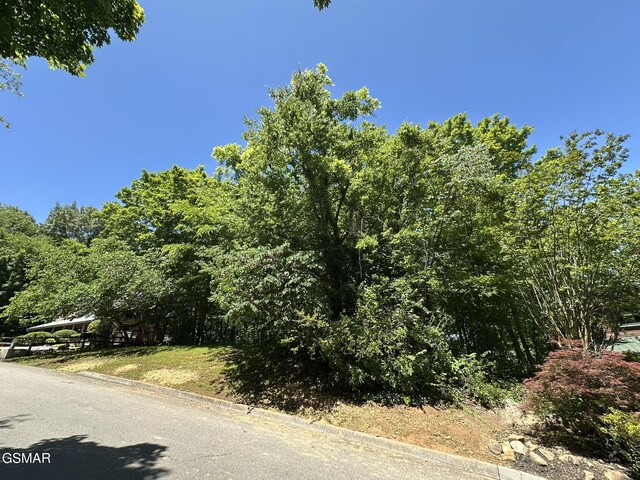 LOT3 Oak Haven Way, Sevierville, TN 37876 - photo 5