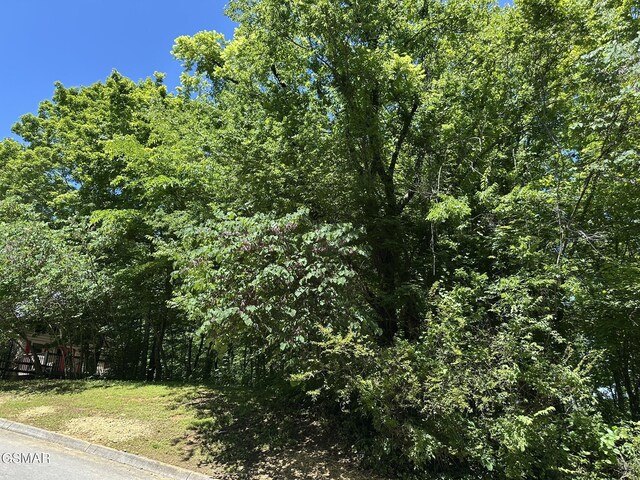LOT3 Oak Haven Way, Sevierville, TN 37876 - photo 4