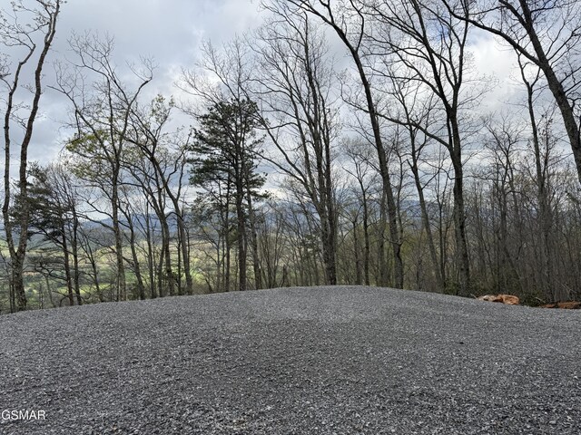 3.93 Green Forest Rd, Cosby, TN 37722 - photo 13