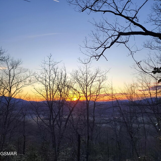 3.93 Green Forest Rd, Cosby, TN 37722 - photo 24