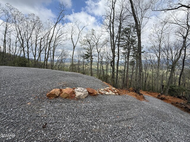 3.93 Green Forest Rd, Cosby, TN 37722 - photo 19