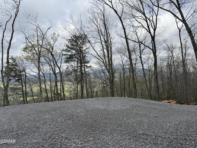 3.93 Green Forest Rd, Cosby, TN 37722 - photo 2