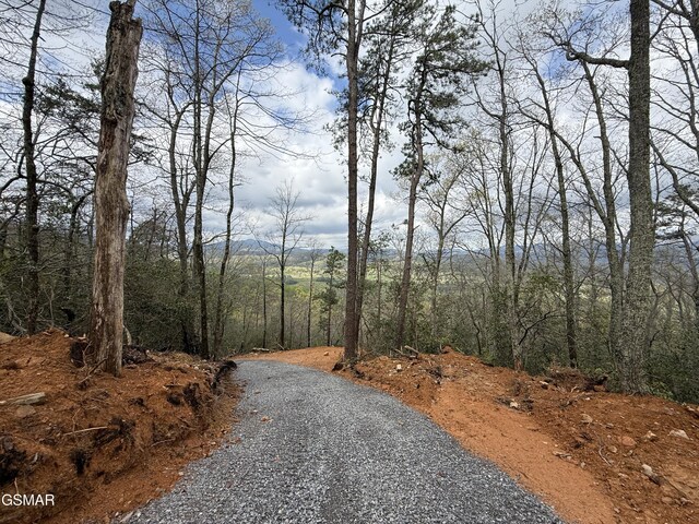 3.93 Green Forest Rd, Cosby, TN 37722 - photo 8