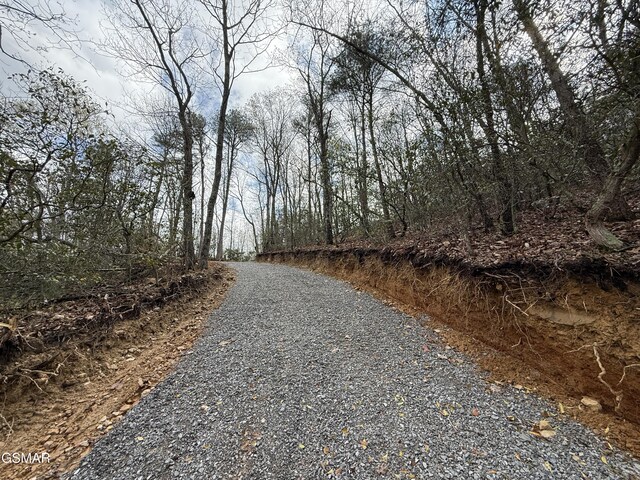 3.93 Green Forest Rd, Cosby, TN 37722 - photo 11