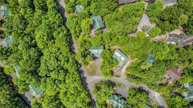 2828 Ridge Creek Cir, Sevierville, TN 37862 - photo 57