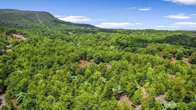 2828 Ridge Creek Cir, Sevierville, TN 37862 - photo 66