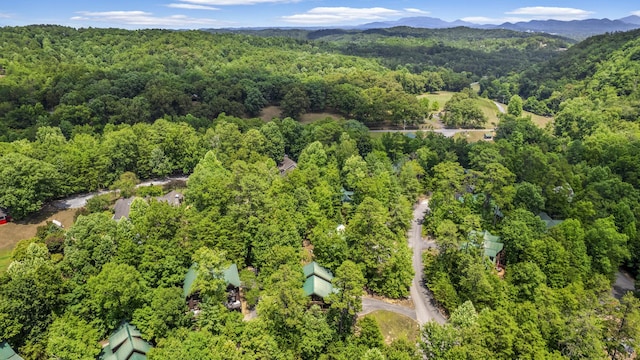 2828 Ridge Creek Cir, Sevierville, TN 37862 - photo 62