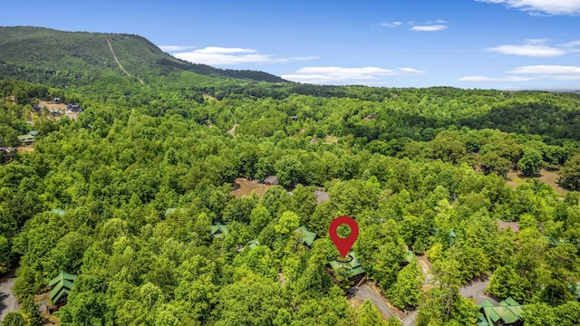 2828 Ridge Creek Cir, Sevierville, TN 37862 - photo 60