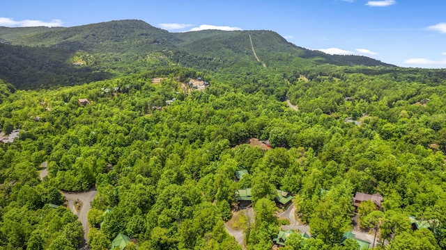 2828 Ridge Creek Cir, Sevierville, TN 37862 - photo 59