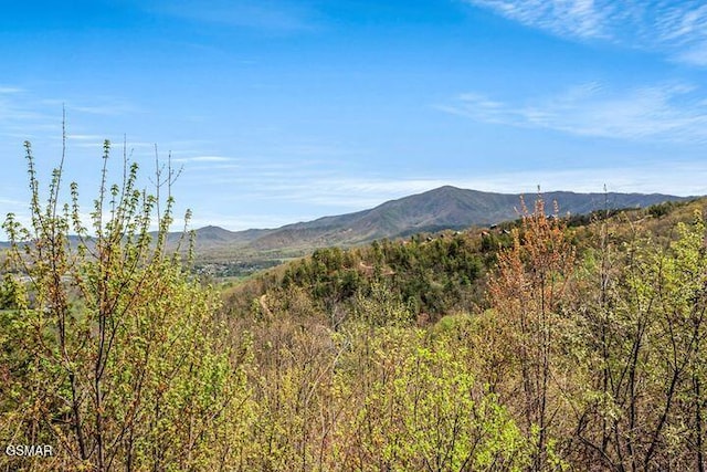 view of mountain feature