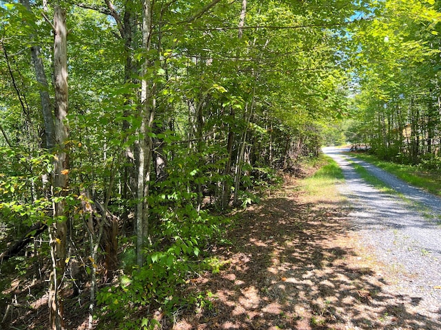 Listing photo 2 for TRACT8 Faith Mountain Way, Hartford TN 37753