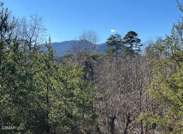 view of mountain feature featuring a wooded view