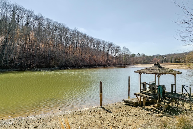 dock area with a wooded view and a water view