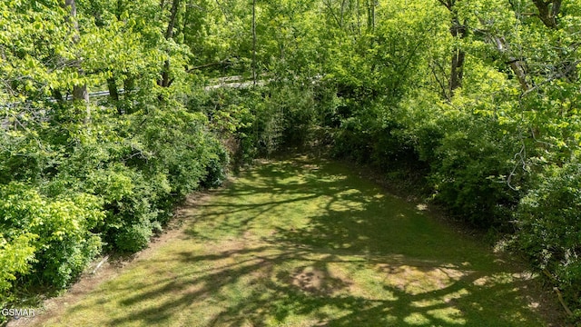 755 Rh Ellis Rd, Dandridge, TN 37725 - photo 47