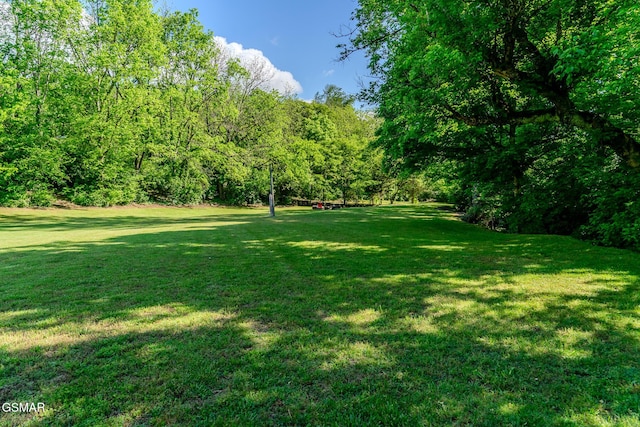 755 Rh Ellis Rd, Dandridge, TN 37725 - photo 48
