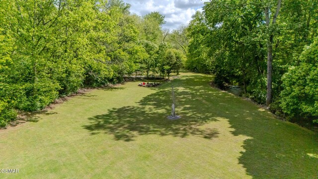 755 Rh Ellis Rd, Dandridge, TN 37725 - photo 45