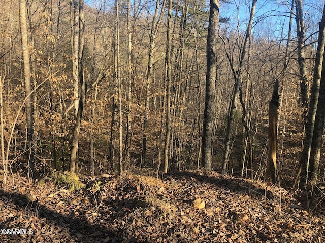 LOT68 Yellowwood Dr, Sevierville TN, 37876 land for sale