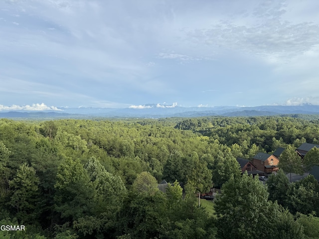 1079 Towering Oaks Dr, Sevierville, TN 37876 - photo 41