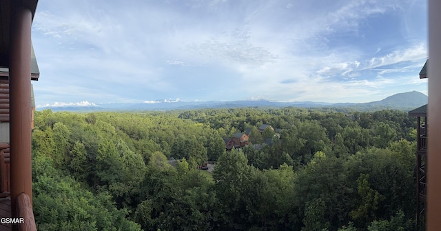 1079 Towering Oaks Dr, Sevierville, TN 37876 - photo 17