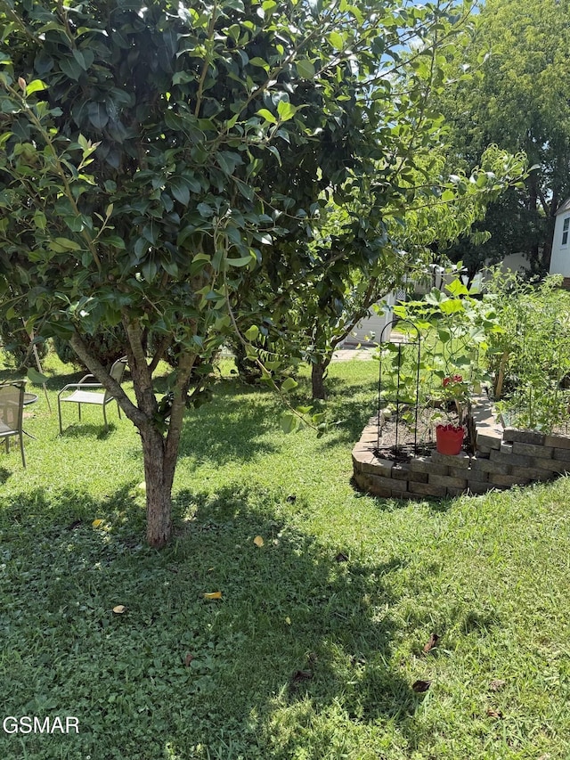 2514 Sportsmans Way, Sevierville, TN 37876 - photo 27