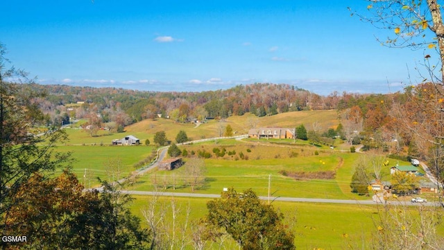 drone / aerial view featuring a rural view