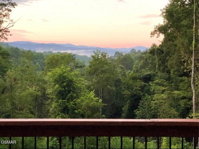 928 Ditney Way, Sevierville, TN 37876 - photo 68