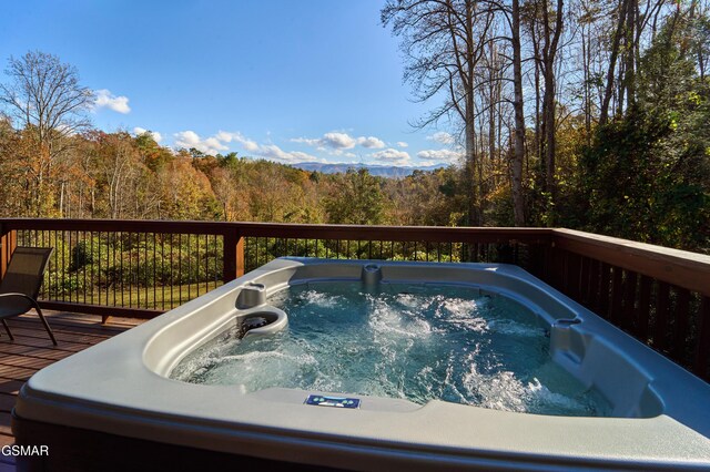 928 Ditney Way, Sevierville, TN 37876 - photo 59