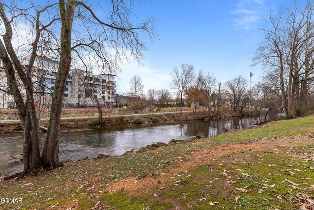 3215 N River Rd Ste 503, Pigeon Forge, TN 37863 - water view