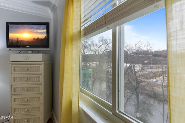 3215 N River Rd Ste 503, Pigeon Forge, TN 37863 - room details with ornamental molding