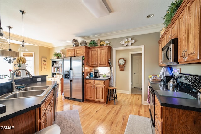 kitchen featuring appliances with stainless steel finishes, decorative light fixtures, sink, ornamental molding, and light wood-type flooring