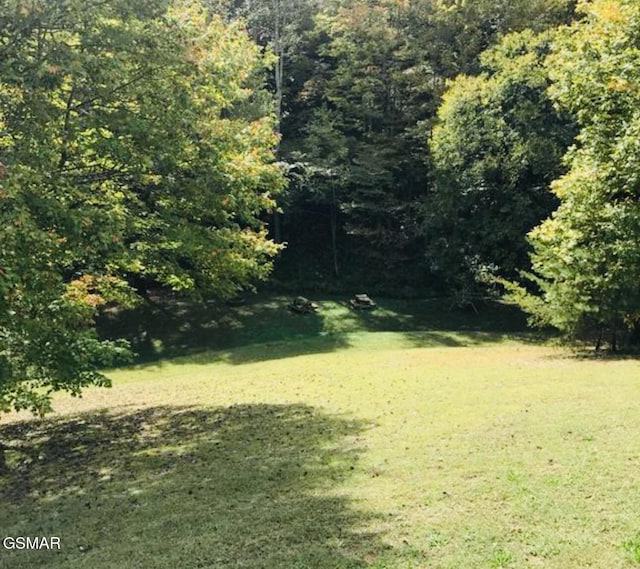 3209 Cristobal Way, Sevierville, TN 37862 - photo 5