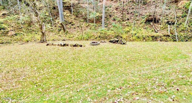 3209 Cristobal Way, Sevierville, TN 37862 - photo 6