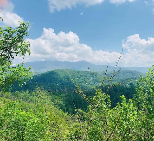 626 Kritis Pl, Gatlinburg TN, 37738 land for sale