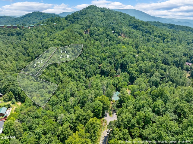 LOT24 Cascades Ct, Sevierville, TN 37862 - photo 15