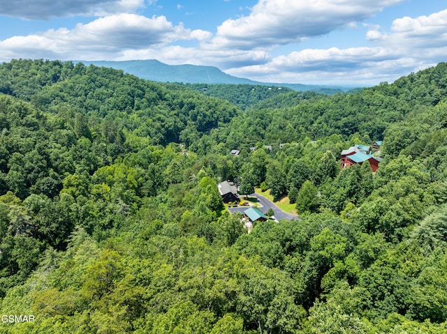 LOT24 Cascades Ct, Sevierville, TN 37862 - photo 10