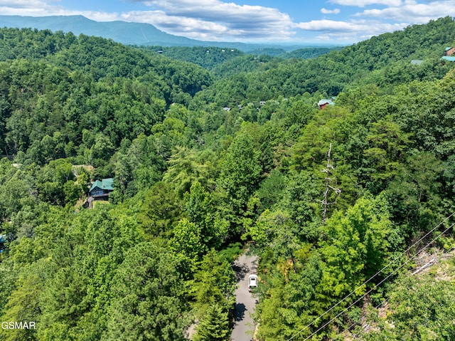 LOT24 Cascades Ct, Sevierville, TN 37862 - photo 9