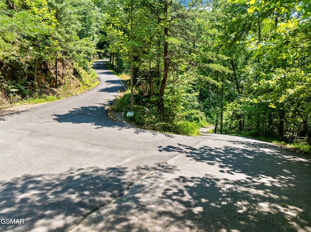 LOT24 Cascades Ct, Sevierville, TN 37862 - photo 4